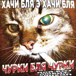 k0ekogda