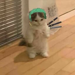 GuiwOo
