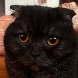 weird_potato