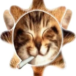 High8aby