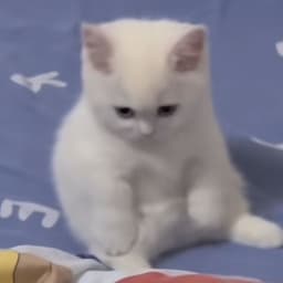 EnEnn
