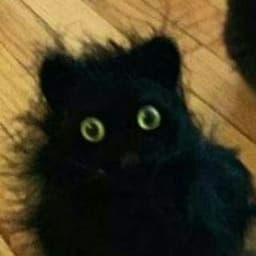 Nick66