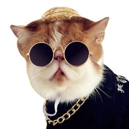 _Chupa_gg