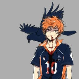 HiNaTa22