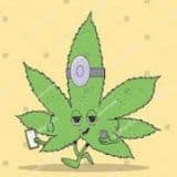 DrWeedy