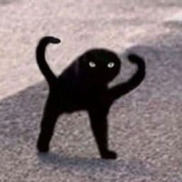 n0rb3r7