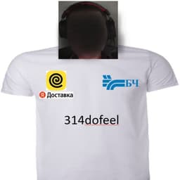 314dofeel