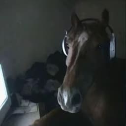 R1murII