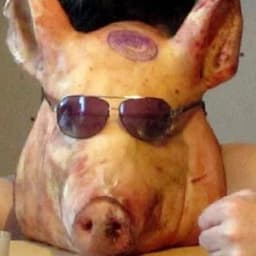 Anderdoggy