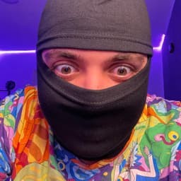 TheStung
