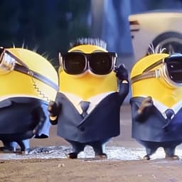 miniondealer