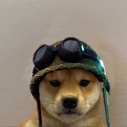 KyKyMB