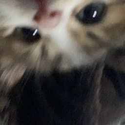ajirezbtw