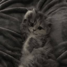 zxcUtyug