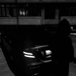 bary300
