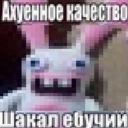 -paketka