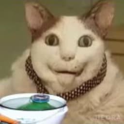 kirillmruk