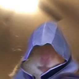 Bugsysama