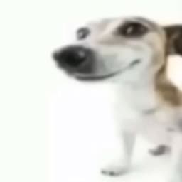 mmrph