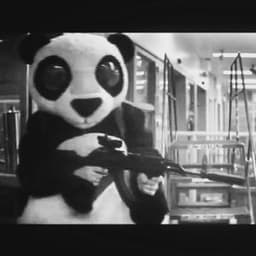 -_-panda-