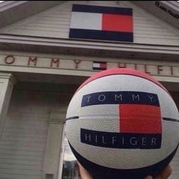 virgyz