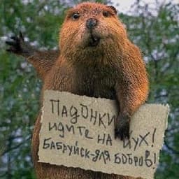 WooD_rAt