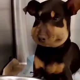 Huysosweet