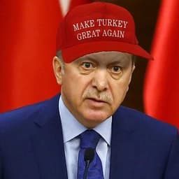 bobisgreat