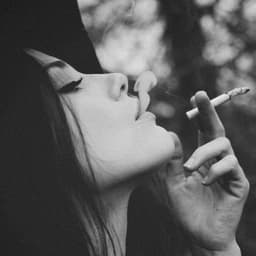 _NoDiRiS