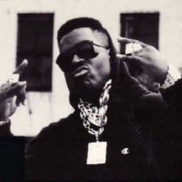 Bronx161