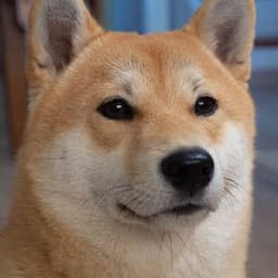 Dobaltium