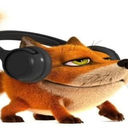 feen1kp