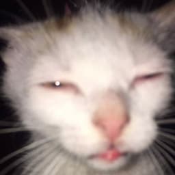 sanderkaaa