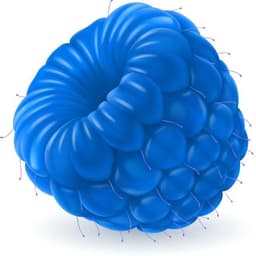 Blue_rberry