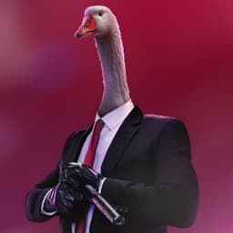 Goose_Meteor