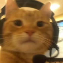 Krissto_16
