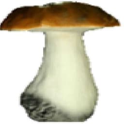-Mos1n-