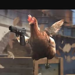 Rel