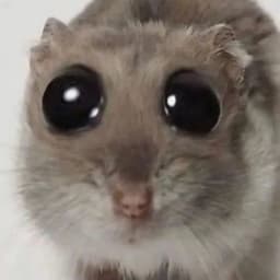sad_fearless