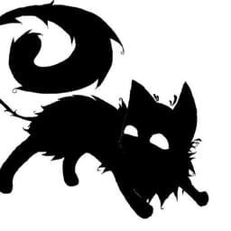Blackcat232