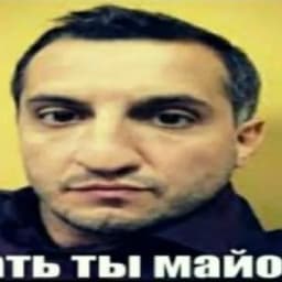 lermis