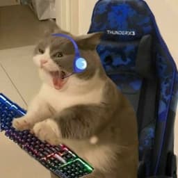 SmertTV