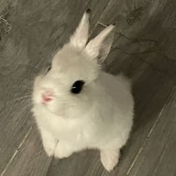 Milaya_Zayaa