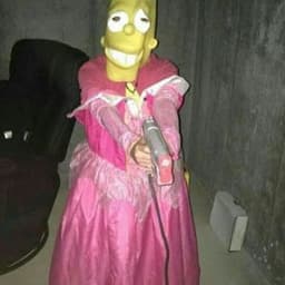 rqzssj