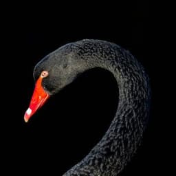 sm1lodon