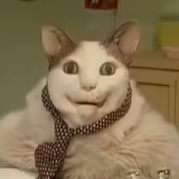 jekamos