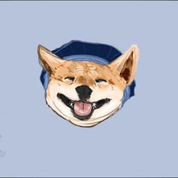 ImaHoodDoge
