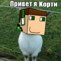 korty12