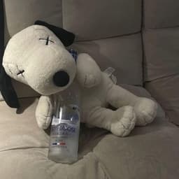 leciroc