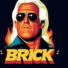 BricK-Flair